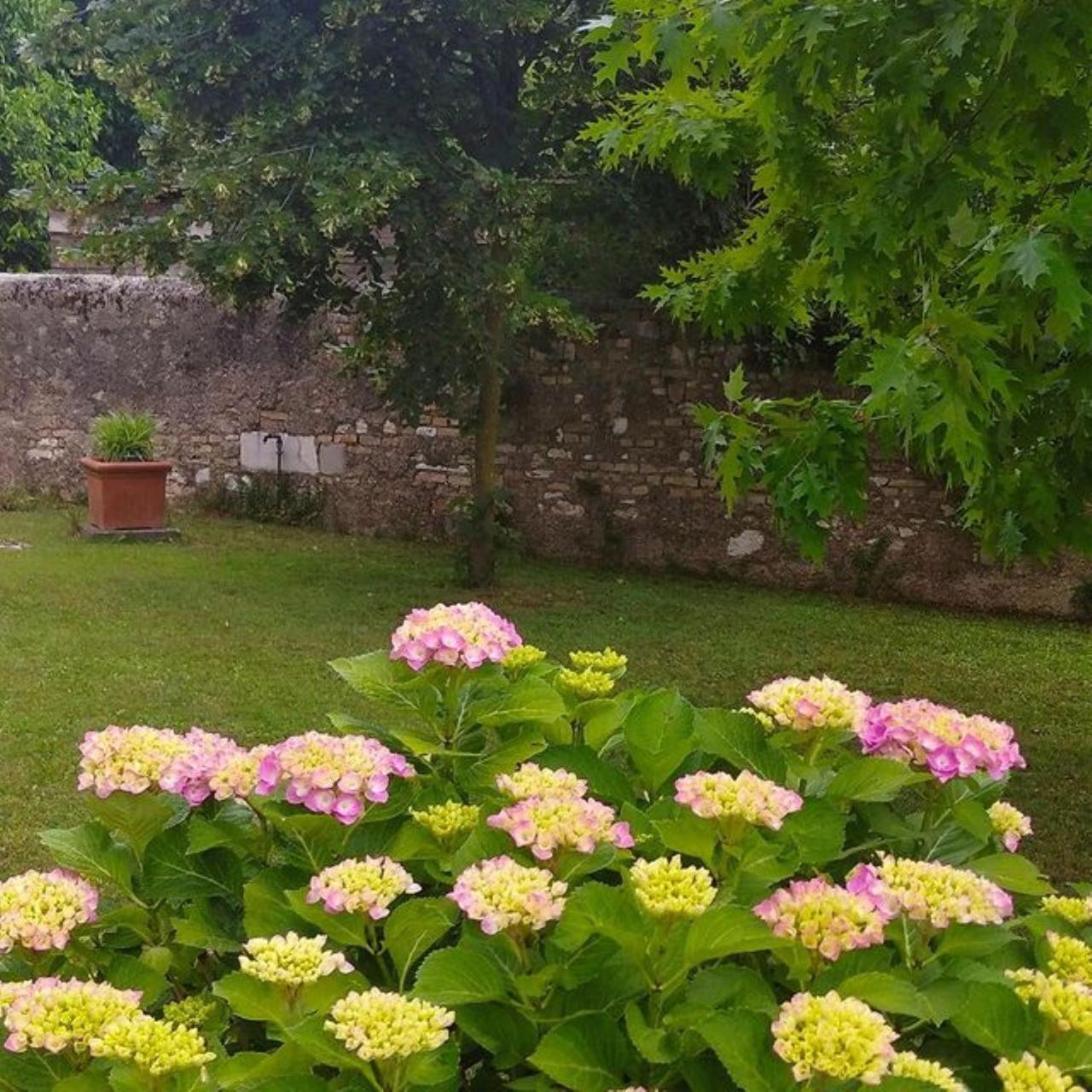 B&B Ernestine Family Home Caneva Extérieur photo